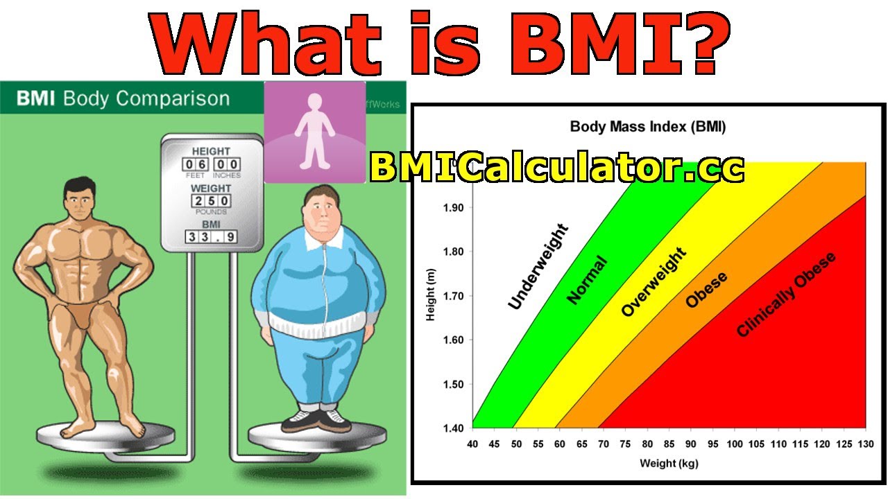 Body Mass Index Calculator